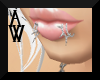 [AW] Silver Labrets