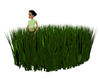 Tall saw grass mesh