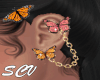 ..:Butterfly:..