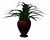red / black trim planter