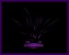 Purple Galexy Plant
