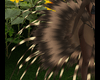 Quillo Tail Quills
