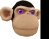 MONKEY HEAD