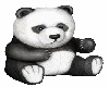 Baby Panda Bear 1