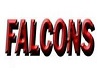 Falcons Female Pants