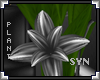 [LyL]Syn Reflect Plant