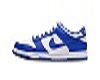 Blue Dunks