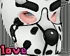 Dalmatian Puppy Hood