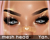 Y: alice mesh head | L