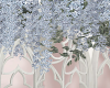fairy flower blue