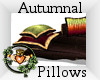 ~QI~ Autumnal Pillows