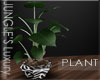 ~LDs~JL Plant 3
