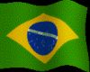 ANIMATED BRAZIL FLAG