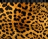 leopard sweat pants 