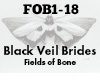 Black Veil Brides Fields