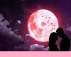 romantic pink moon iland