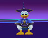 s~n~d donald duck pet