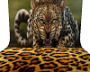 wild leopard backdrop