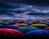 Art of Rain p