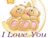 [G] I love you Bear
