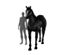 Matth WildBlackHorse