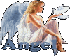 Angel 5