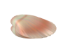 Animated Clam w/ Pearl