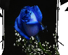 MA)Photo Shoot Blue Rose