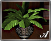 Plant Palm vase