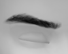 eyebrows