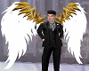 Gold n White Wings M/F