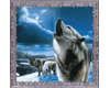 howling winter wolves