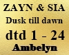 Dusk Till Dawn Remix 3W4