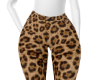 SOBE PANTS LEOPARD