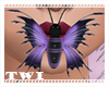 Mouth Butterfly Purple