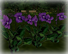 [Luv] Purple Flowers