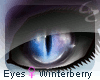 [c4z] F Eyes Winterberry