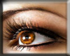 (A)Eyelashes (1)