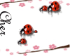 ladybug effects