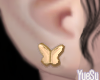 Butterfly Studs Gold