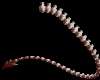 Mara tail 3