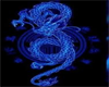blue dragon photoshoot