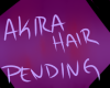 Akira Hair