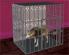 Pampered Pet Cage