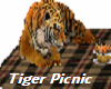 Tigers Picnic