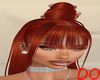 TRINITY  CARROT