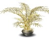 (AL) Golden Plant Anim.