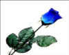 blue rose 3D hanging