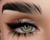 Bushy Highlighted Black