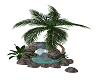 Tropical Fountain